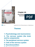 Chapter 4A Psychobiology and Neuroscience