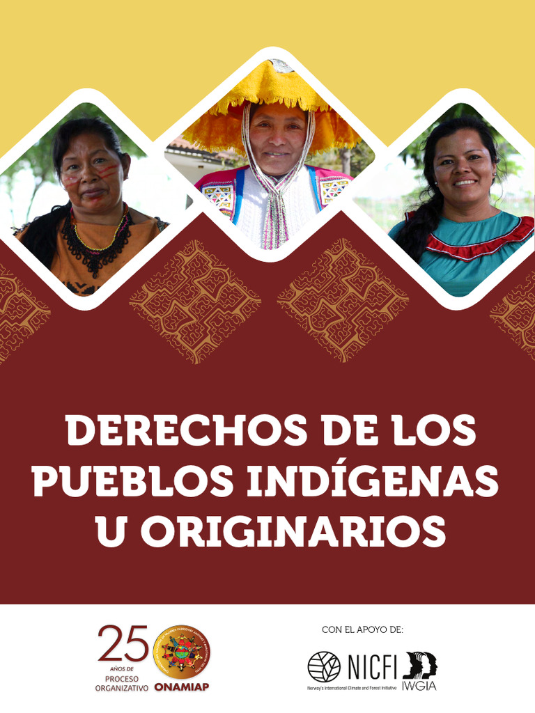 Derechos de los Pueblos Indígenas en Perú | PDF | Organización ...