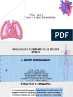 Practica 5 Estructura