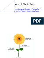 Life Science Lesson 2 Functions of Plant Parts