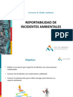 REPORTABILIDAD - PPT Incidentes Ambientales MLP. Enero 19