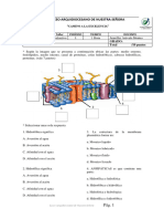 Taller Evaluativo Biologia Décimo