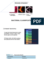 Bact Classification BSN 2020