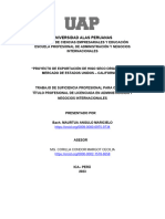 2023.10.24 Maurtua Angulo Maricielo - Proyecto de Exportación A Eeuu (Lot)