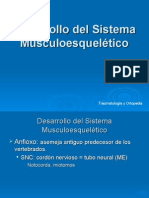 Desarrollo Del Sistema Musculoesquelético1 2005 Corregir