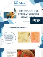 Trasplante de Medula Osea