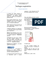 Resumo Do Sistema Respiratorio