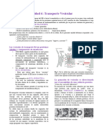 Documento UNIDAD 6 TRÃ - FICO VESICULAR