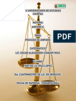 Proceso de Amparo - 103619