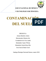 Contaminacion Del Suelo