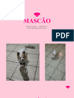 Mascão Certo