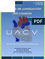 UACV - Sistema de Conduccion