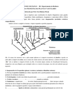 Exercicio Filogenia de Plantas Vasculares - 2016