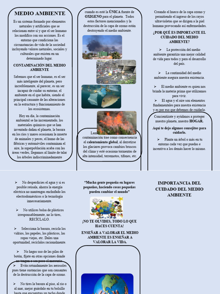 Triptico Del Medio Ambiente 5 | PDF | Entorno natural | Contaminación
