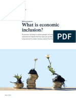 What Is Economic Inclusion