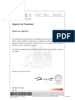 Certificado de Dominio Apoquindo