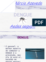 DENGUE Aula Sobre