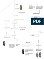 Els Riscos en El Medi Ambient