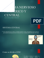 Alan Nicolas Bravo Regules - Sistema Nervioso Periferico y Central