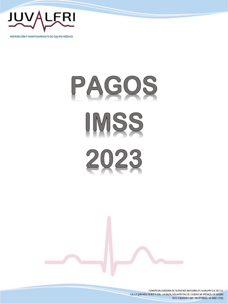 Pagos Imss | PDF