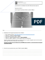 2024 Activit 3 Le Fonctionnement de L Appareil Reproducteur F Minin