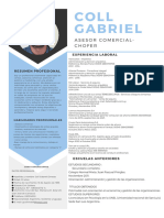 Coll Gabriel: Asesor Comercial-Chofer