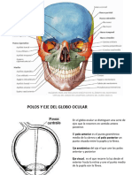 ojo l curso 2020-21