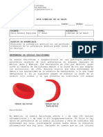 Guia Ciencias de La Salud 4to Medio 2022 Modelos de Expresión Genica