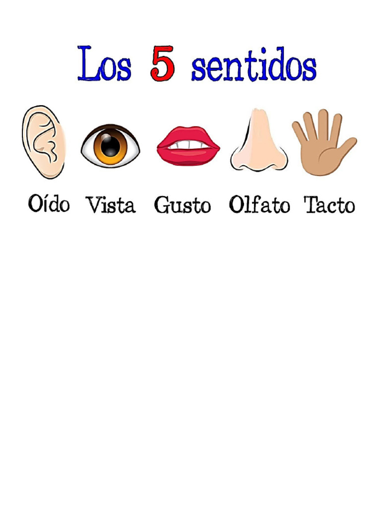 Los Cinco Sentidos y Los Simbolos Patrios RD | PDF