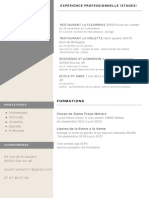 Gris Minimal Service Client CV