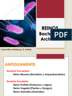 21 Dominio Bacteria y Archaea 5to Sec