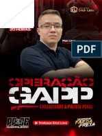 Operaçâo Gapp PPCE - Prof. Max Lima