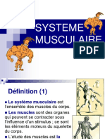 Système Musculaire 2021