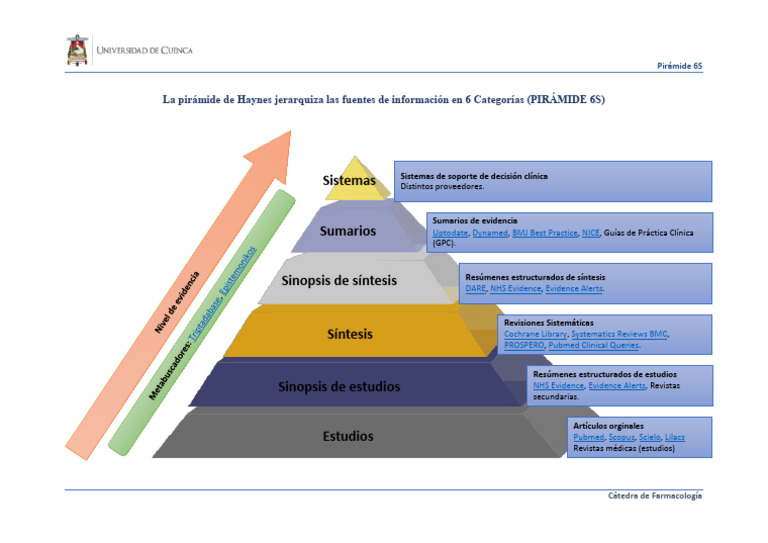 Pirámide 6S de Evidencia Científica | PDF