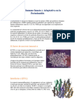 Respuesta Inmune Innata y Adaptativa en La Periodontitis