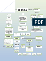 Mapa Conceptual de La Celula 3