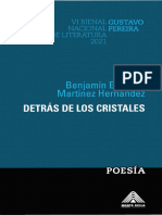 Detrás-De-Los-Cristales POESOA
