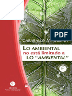 9 Lo Ambiental No Está Limitado A Lo "Ambiental" PDF Interactivo