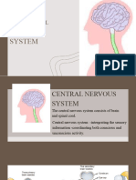 Central Nervous System Oxygen