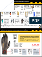 Estandar Guantes 2023 CSAN