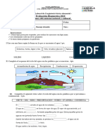 Evaluación Diagnostica 2024 NOCIONES DEL ENTORNO