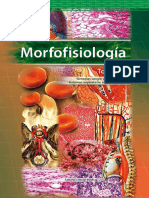 Morfofisiología III