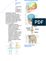 Morfofisiologia Dos Sistemas