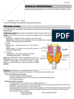 Anatomía - Glándulas Endócrinas