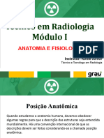 Anatomia LL