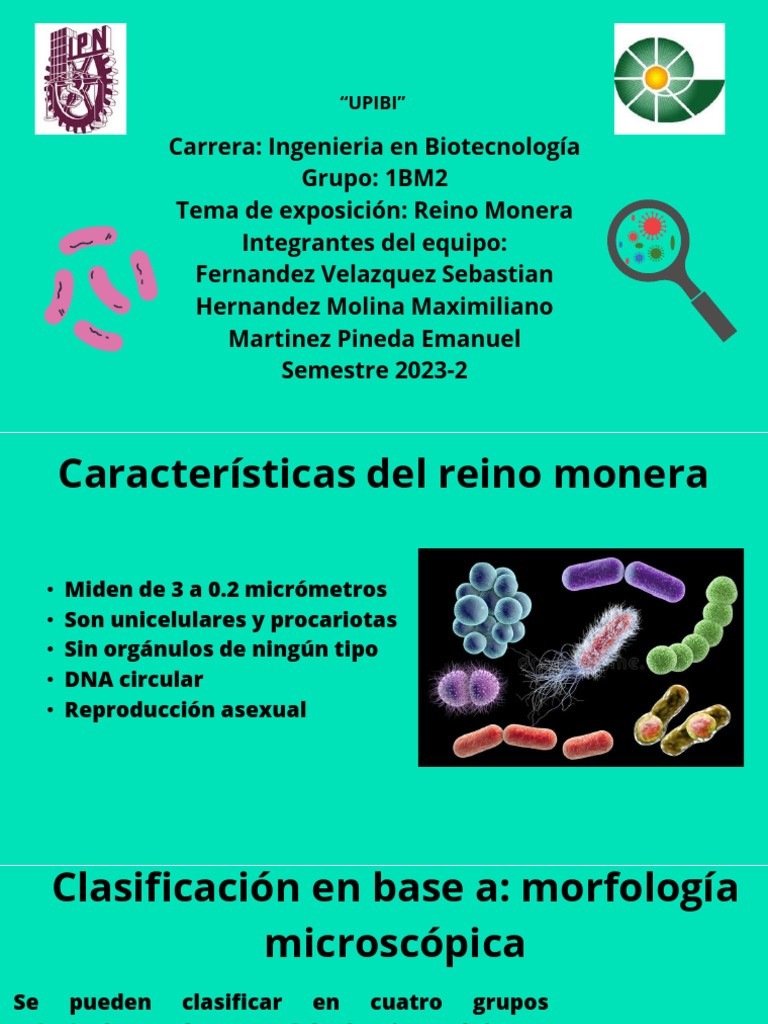 Reino Monera | PDF | Metabolismo | Las bacterias