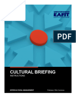 Cultural Briefing Instructions