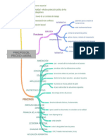 Principios Del Proceso Laboral