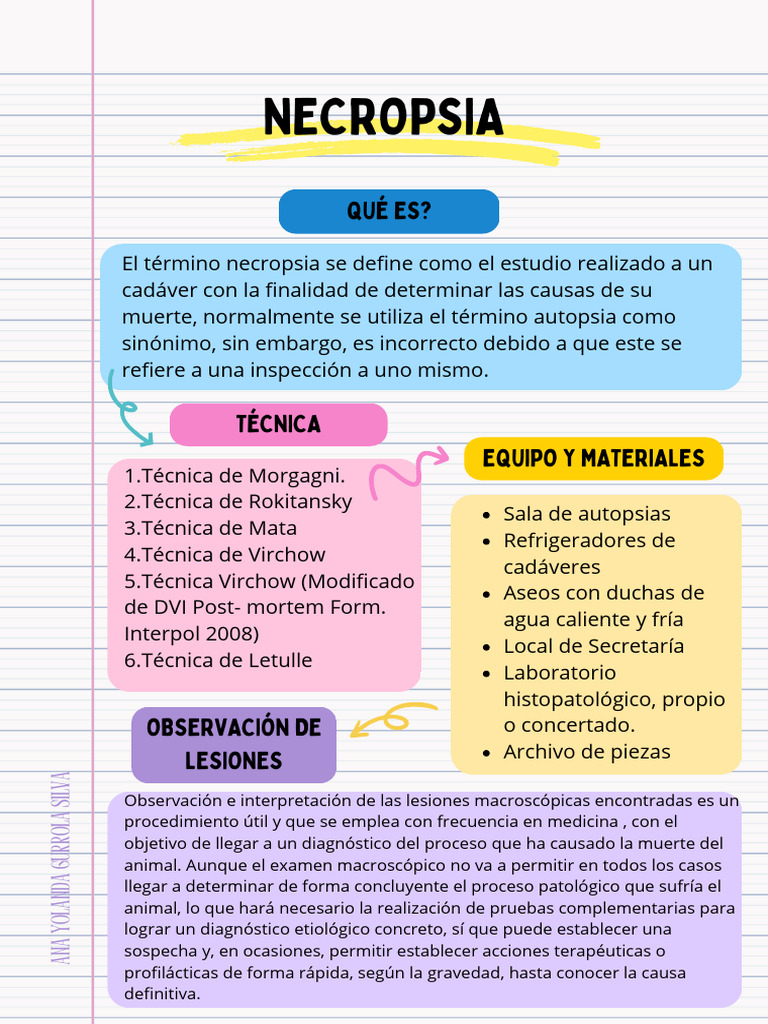 Necropsia | PDF | Autopsia | Medicina CLINICA, image size:768x1024