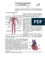 Guia Circulacion Humana Septimo